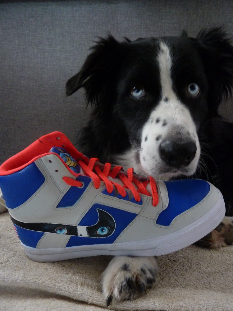 Nike high custom yeux de chien sur le swoosh avec le chien qui pose